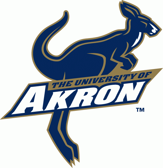 Akron Zips 2002-Pres Primary Logo iron on transfers for T-shirts